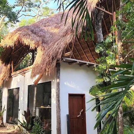 Selva Roca Tulum Guest House